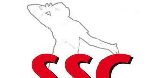 Logo SSC Karlsruhe Volleyball