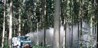 Waldkalkungen sind für die effiziente und dauerhafte Regeneration der Bodenfunktionen von großer Bedeutung. (Foto: Lukas Schmidt)