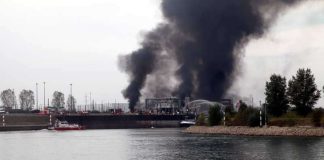 Blick vom Sandhofen-Rheinufer auf den Landeshafen der BASF in der Nachtweide