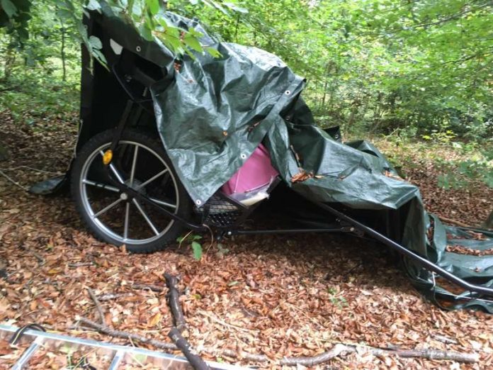 Wem gehört die Kutsche? (Foto: Stadt Speyer)