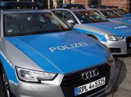 Vier der insgesamt 22 neuen Funkstreifenwagen (Foto: Stephan Dinges)