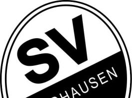Logo (Foto: SV Sandhausen)