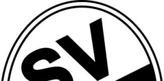 Logo (Foto: SV Sandhausen)