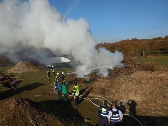 Der Grünschnitt wurde von der Feuerwehr gelöscht (Foto: Feuerwehr Bad Kreuznach)