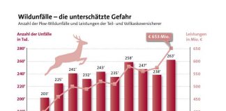 Grafik Wildunfälle (Foto: GDV)