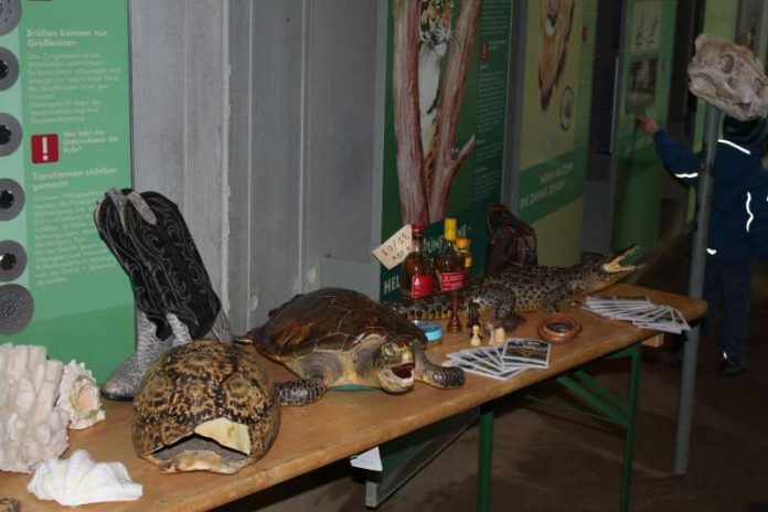 souvenirs-nov-16-zoo-frankfurt