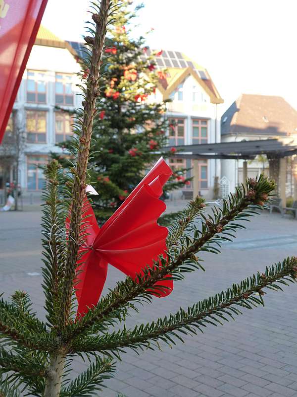 Sparkasse sorgt für Vorweihnachtsfreude in Schifferstadt. (Foto: Sparkasse Vorderpfalz)