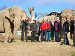 Tierschutzbeauftragte Dr. Jäger informierte sich über die Altersresidenz für Elefanten im Zoo Karlsruhe (Foto: Zoo Karlsruhe)