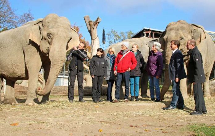 Tierschutzbeauftragte Dr. Jäger informierte sich über die Altersresidenz für Elefanten im Zoo Karlsruhe (Foto: Zoo Karlsruhe)