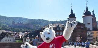 Der Eisbär ist der Star in drei Kurzfilmen der Stadt Heidelberg. (Foto: Peter Dorn)
