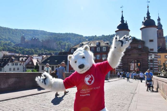 Der Eisbär ist der Star in drei Kurzfilmen der Stadt Heidelberg. (Foto: Peter Dorn)