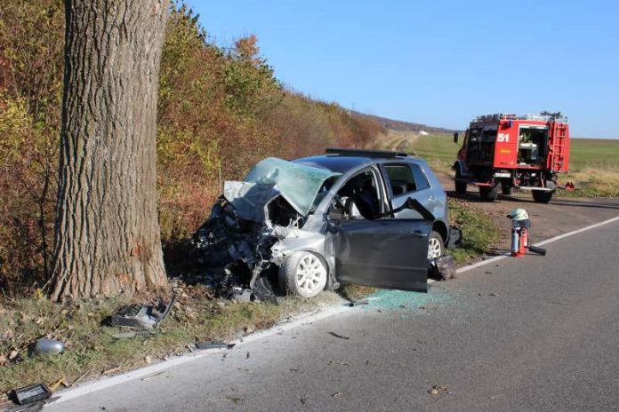 Beide Insassen kamen ums Leben (Foto: Polizei)