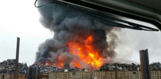 Blick vom Feuerlöschboot (Foto: Stadt Mannheim)