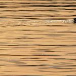 Ente See Symbolbild