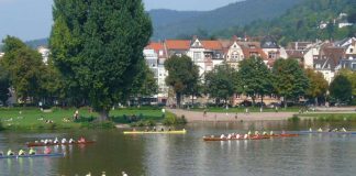 Das jährliche "Rudern gegen Krebs" auf dem Neckar in Heidelberg (Foto: Hannes Blank)