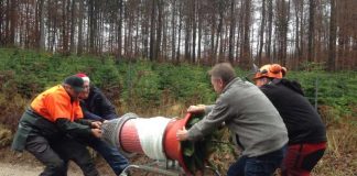 Mitarbeiter beim Verpacken von Weihnachtsbäumen (Foto: FBL Schwarzach)