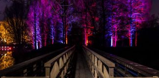 Winterlichter (Foto: Stadtpark Mannheim)