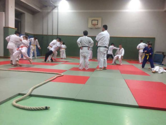 Budo-Club: Probetraining in einem der Sinsheimer Vereine