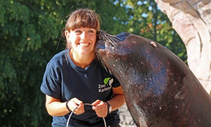 Die Karlsruher Zootierärztin Hein auf Schmusekurs bei den Robben (Foto: Zoo Karlsruhe)