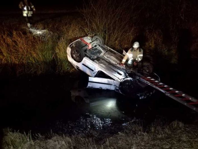 Wildunfall Hofweg in Richtung Wersauer Hof