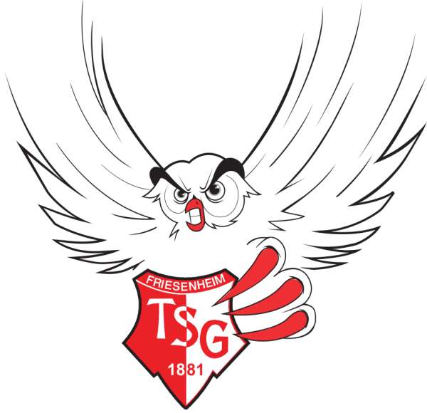 Logo (Quelle: TSG Ludwigshafen-Friesenheim Bundesliga-Handball GmbH)