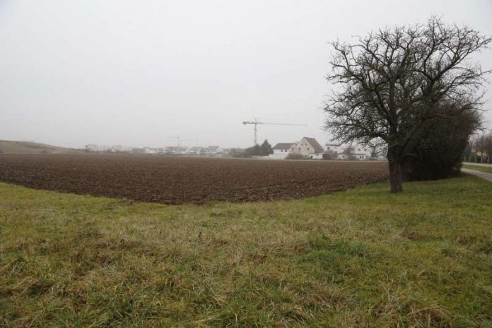 Blick auf das Areal, auf dem Walldorfs «vorläufig vorletztes Wohngebiet» entstehen wird. Für die Begegnungsstätte «Plattform» wird noch ein neuer Standort gesucht (Foto: Helmut Pfeifer) Blick auf das Areal, auf dem Walldorfs «vorläufig vorletztes Wohngebiet» entstehen wird. Für die Begegnungsstätte «Plattform» wird noch ein neuer Standort gesucht (Foto: Helmut Pfeifer)