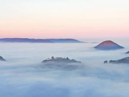 Trifels im Nebel: Die Burgen Trifels, Anebos und Münz (Foto: pmbvw)