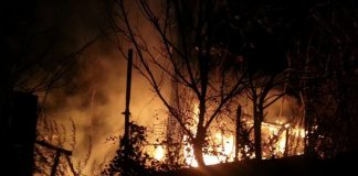 Zwei Gartenhäuser standen in Flammen (Foto: Polizei RLP)