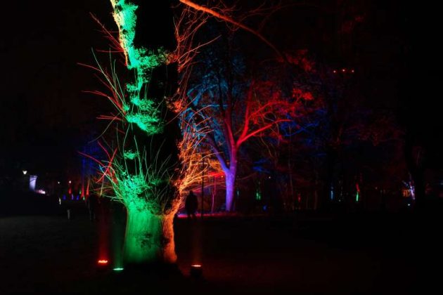 Illuminierte Bäume (Foto: Holger Knecht)