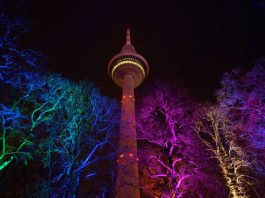 Der Mannheimer Fernmeldeturm, davor illuminierte Bäume (Foto: Holger Knecht)