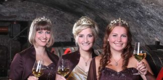 gruppe1_4Für sie sucht die Stadt Bingen Nachfolgerinnen. Prinzess Schwätzerchen Elena mit ihren Weinprinzessinnen Muriel (links) und Annika. (Foto: Stadt Bingen)