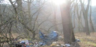 Foto: Stadt Bingen