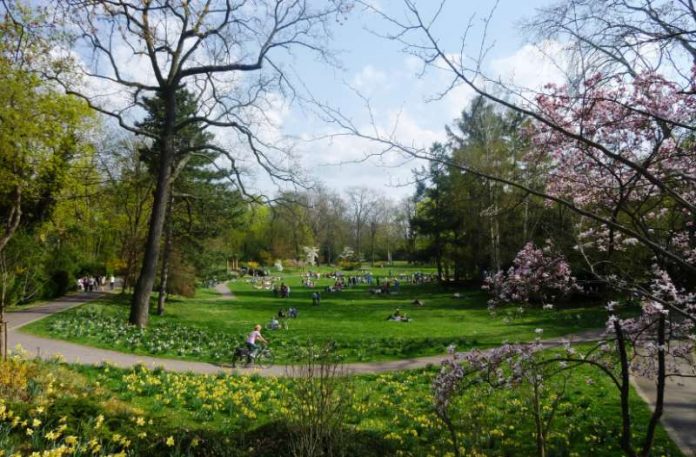 Grünflächen wie der Landauer Goethepark sind wichtig für das Klima einer Stadt – vor allem im Sommer. Ein Klimaanpassungskonzept, wie es auch die Stadt Landau erstellen lassen will, soll die Auswirkungen des Klimawandels abmildern. Dies kann etwa durch das Pflanzen von Bäumen oder das Verknüpfen einzelner Grünflächen geschehen. (Foto: Stadt Landau in der Pfalz)