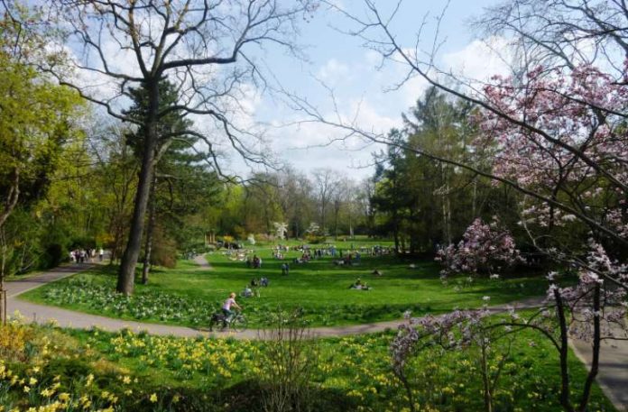 Grünflächen wie der Landauer Goethepark sind wichtig für das Klima einer Stadt – vor allem im Sommer. Ein Klimaanpassungskonzept, wie es auch die Stadt Landau erstellen lassen will, soll die Auswirkungen des Klimawandels abmildern. Dies kann etwa durch das Pflanzen von Bäumen oder das Verknüpfen einzelner Grünflächen geschehen. (Foto: Stadt Landau in der Pfalz) Grünflächen wie der Landauer Goethepark sind wichtig für das Klima einer Stadt – vor allem im Sommer. Ein Klimaanpassungskonzept, wie es auch die Stadt Landau erstellen lassen will, soll die Auswirkungen des Klimawandels abmildern. Dies kann etwa durch das Pflanzen von Bäumen oder das Verknüpfen einzelner Grünflächen geschehen. (Foto: Stadt Landau in der Pfalz)