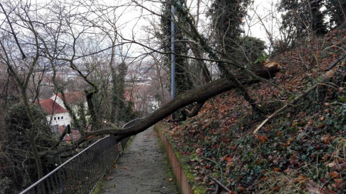 Sturmschaden Bad Kreuznach