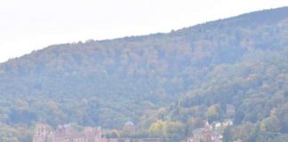 Wohin soll’s nach der Grundschule gehen? Der Heidelberger Schulwegweiser bietet einen kompakten Überblick über die weiterführenden und beruflichen Schulen. (Foto: Peter Dorn)