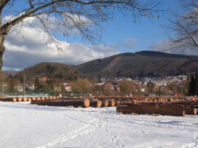 10. Eberbacher Nadelwertholzsubmission (Foto: Landratsamt)
