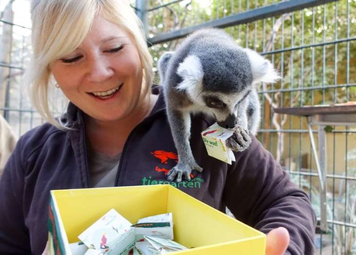 Revierleiterin Carina Decker mischte die Lostrommel und ließ sich von einer kleinen Glücksfee unterstützen. Katta „Sepp“ ermittelte die Gewinner der Tiergarten Wunschboxaktion. (Foto: Freizeitbetriebe Worms)