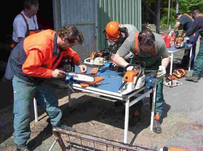 Wer Brennholz schneiden möchte, braucht einen Motorsägenkurs. (Foto: Stadt)