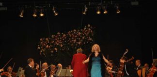 Neujahrskonzert des Johann-Strauß-Orchesters Wiesbaden (Foto: Kreisverwaltung)
