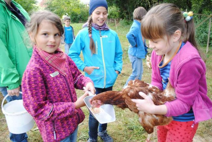 Das Ferienhitsbüro organisiert „tierisch starke Osterferien“. (Foto: Stadt)