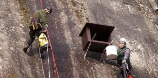 Sicheres Nest mit Ausblick – das neue Zuhause für den Wanderfalken kann bezogen werden. (Foto: Stadtverwaltung)