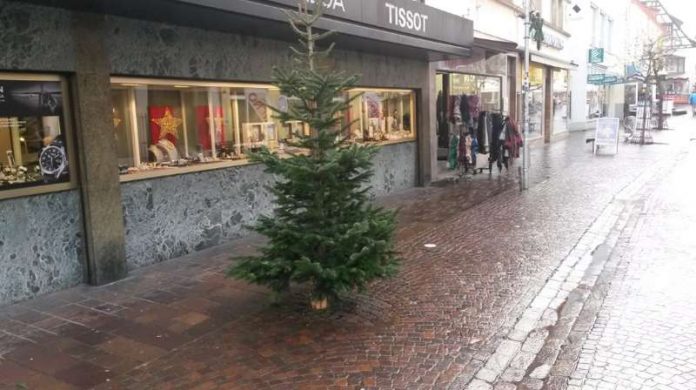 Weihnachtsbäume werden am 7. und 14. Januar 2017 gesammelt (Foto: Stadt Sinsheim)