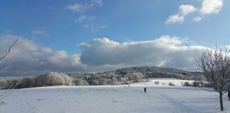Winter am Hardberg (Foto: ZKÜ)