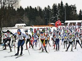 Skilanglauf im Nordschwarzwald (Foto: Karlsruher Lemminge e.V.)