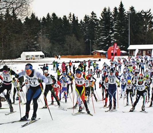 Skilanglauf im Nordschwarzwald (Foto: Karlsruher Lemminge e.V.)