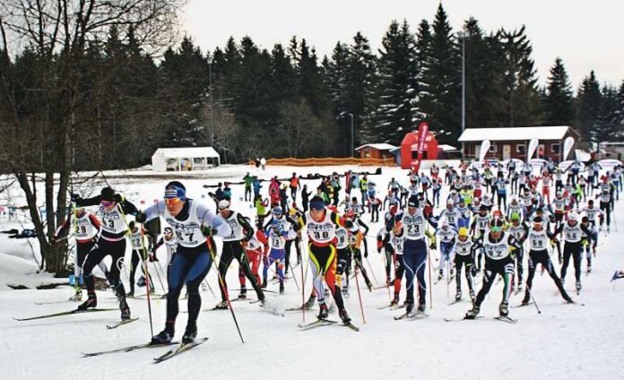 Skilanglauf im Nordschwarzwald (Foto: Karlsruher Lemminge e.V.)