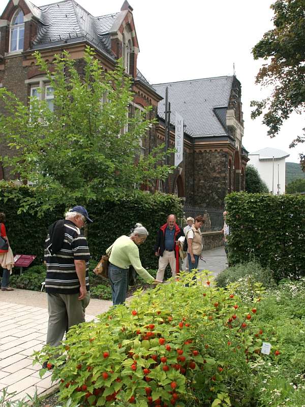 FeyHildeGarten16 Foto: Stadt Bingen