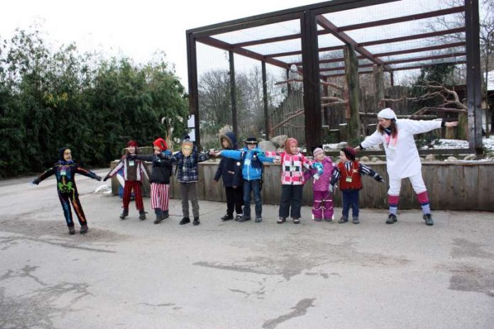 Fliegen wie eine Schneeeule (Foto: Zooschule Heidelberg)