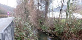 Im Rahmen der Renaturierung wird die linke (zugewachsene) Mauer in weiten Teilen durch eine Böschung ersetzt. (Foto: Stadtverwaltung)